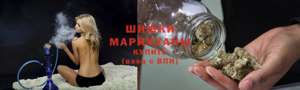 сатива Галич