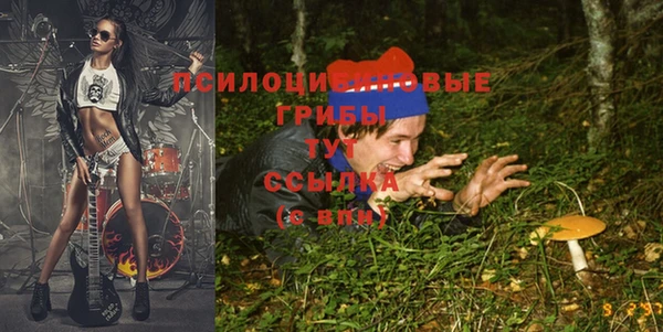 наркотики Богородицк
