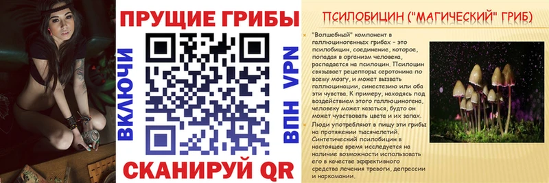 Галлюциногенные грибы Cubensis ОМГ ОМГ вход Вяземский цена